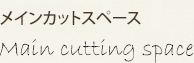 メインカットスペース