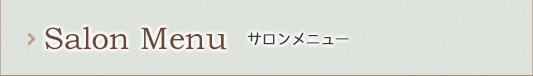 サロンメニュー